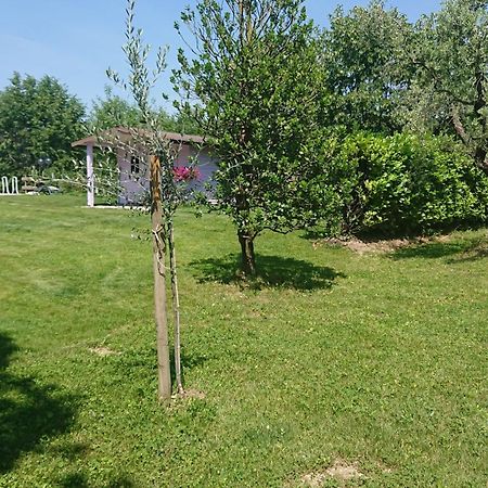 Il Carpino Bianco Bilocale Apartment Puegnago Bilik gambar