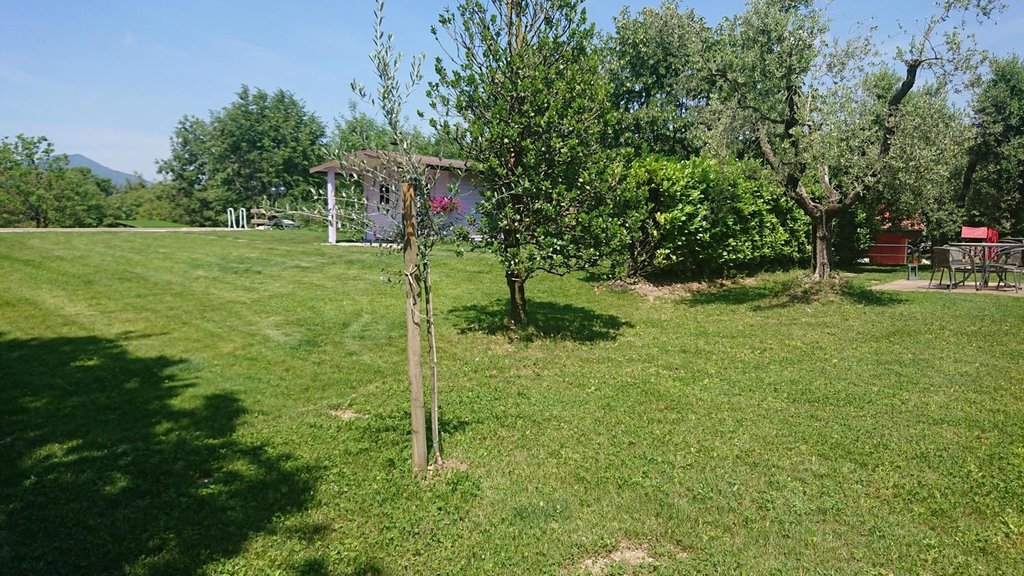 Il Carpino Bianco Bilocale Apartment Puegnago Bilik gambar